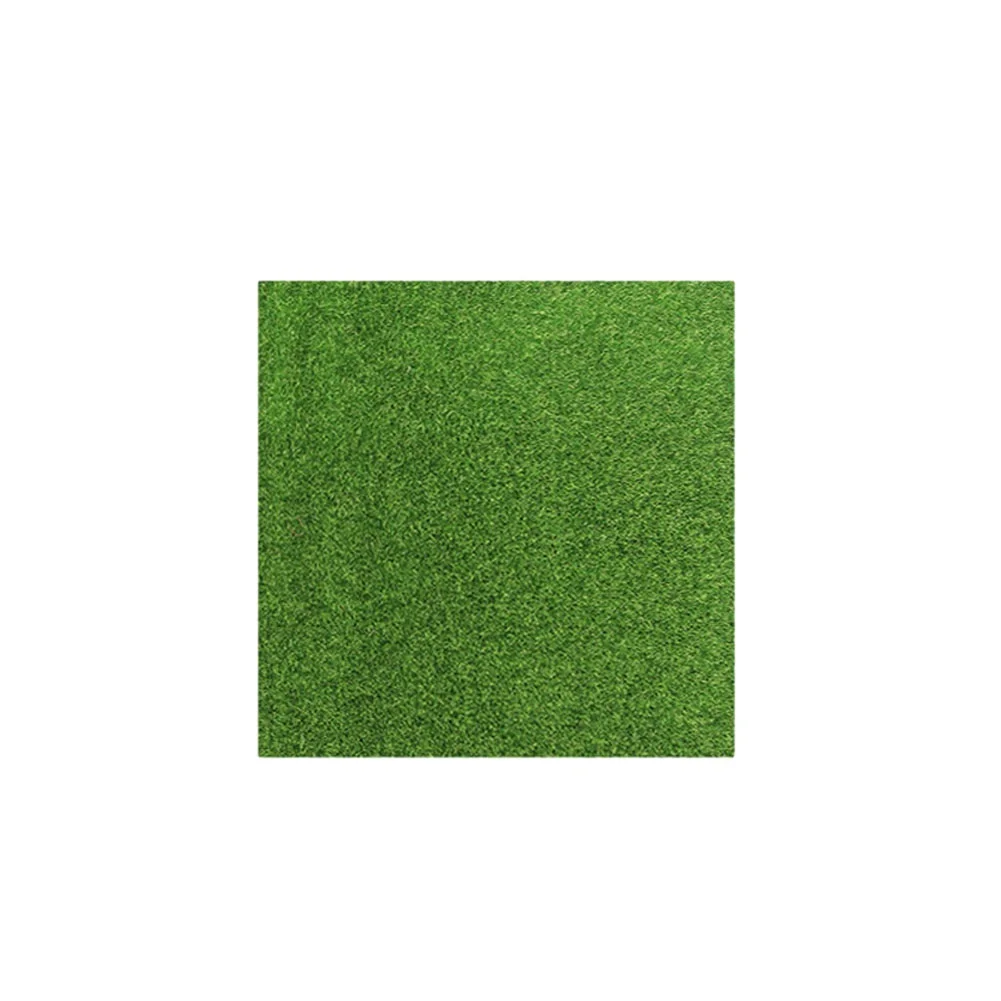 Natural Moss Like Artificial Grassland Simulation DIY Carpet for Tranquility Lightweight and Durable for Extended Use
Natural Moss Like Artificial Grassland Simulation DIY Carpet for Tranquility Lightweight and Durable for Extended Use