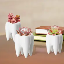 4PcsModern Style Teeth Pots Ceramic Flower Pot Mini Plant Bonsai Planter Container for Desk Organizer Decoration Small Succulent
4PcsModern Style Teeth Pots Ceramic Flower Pot Mini Plant Bonsai Planter Container for Desk Organizer Decoration Small Succulent