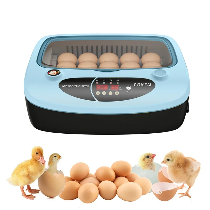 15 Eggs Incubator Automatic Brooder Goose Duck Quail Pigeon Poultry Turn Eggs Hatching Machine Automatic Incubator Farm Tool
15 Eggs Incubator Automatic Brooder Goose Duck Quail Pigeon Poultry Turn Eggs Hatching Machine Automatic Incubator Farm Tool