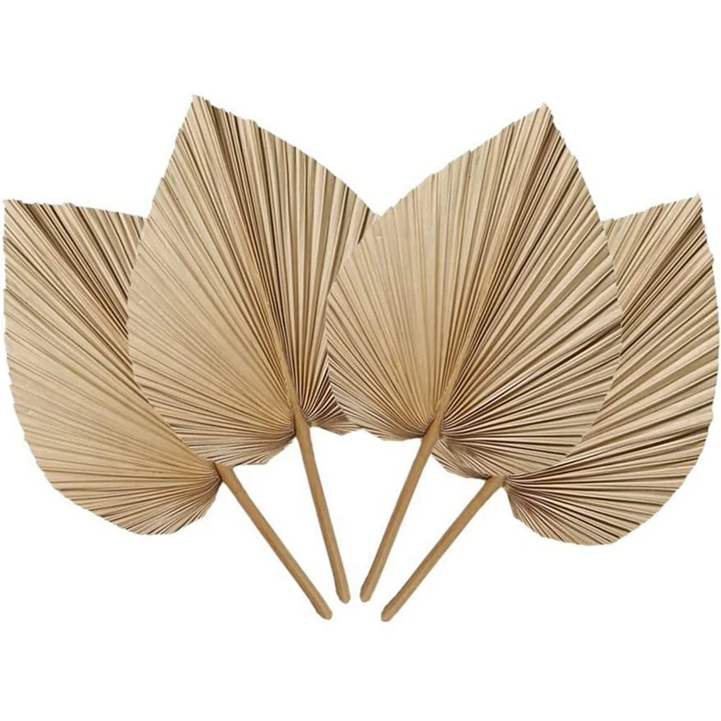 4 Pieces Palm Leaves Home Furnishing Palm Leaves Perfect For Palm Leaf Decor, Boho Decor, Home Decor, Wedding
4 Pieces Palm Leaves Home Furnishing Palm Leaves Perfect For Palm Leaf Decor, Boho Decor, Home Decor, Wedding