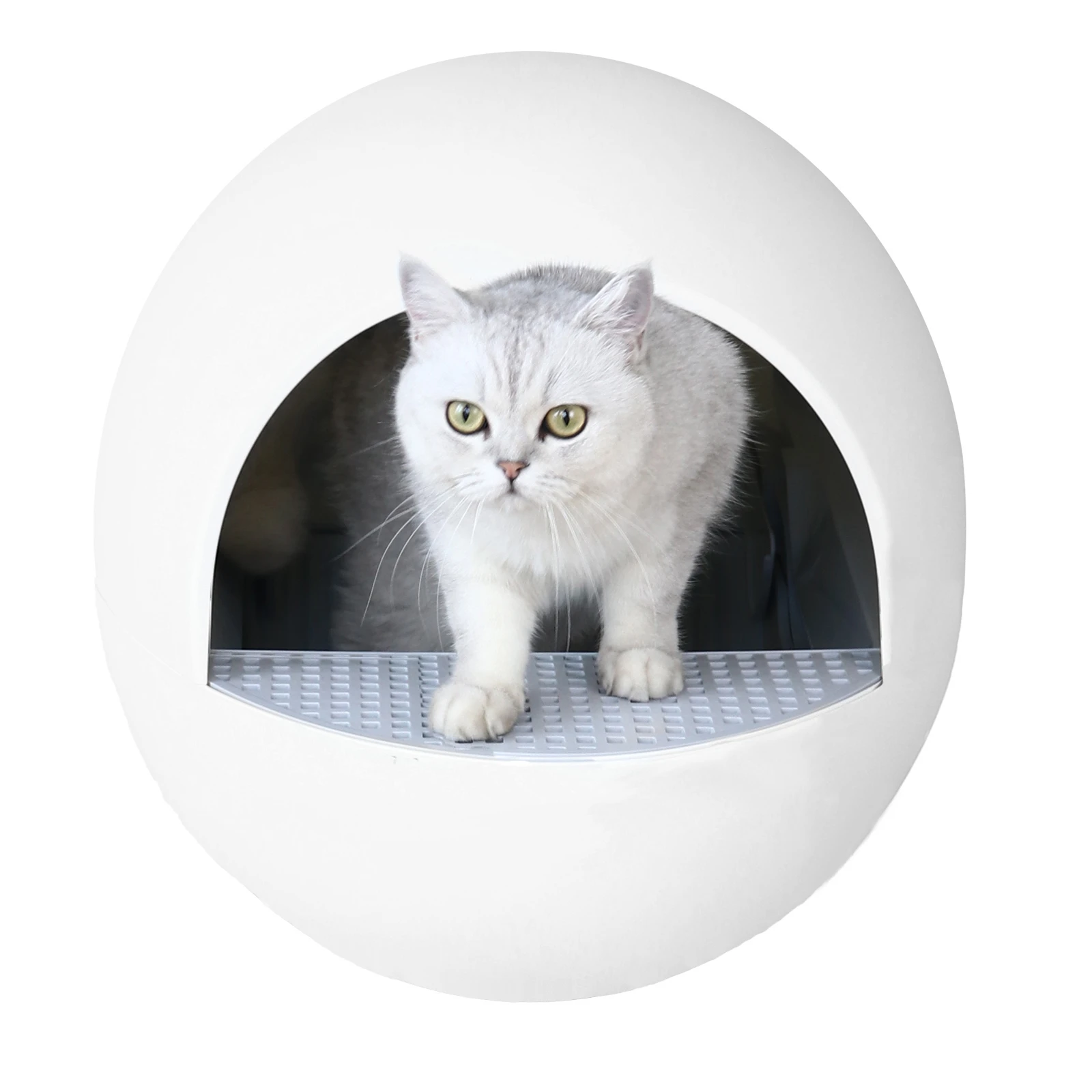 Indoor clear pet portable clean up toilet for pet cat self cleaning plastic cat litter box cleaning
Indoor clear pet portable clean up toilet for pet cat self cleaning plastic cat litter box cleaning