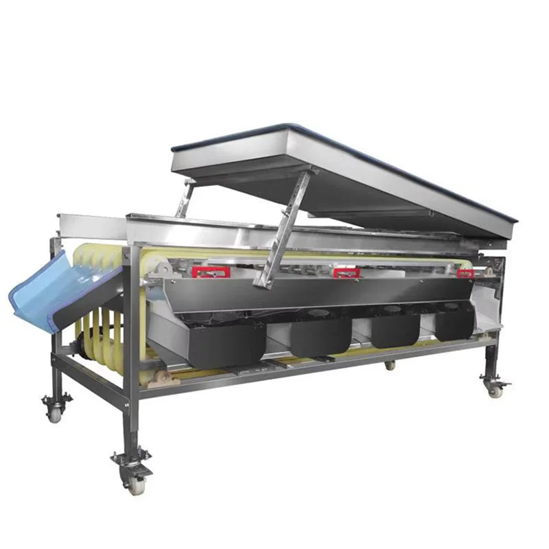 Fruit sorting grading machine fruit vegetable sorting machine sorting fruit machine
Fruit sorting grading machine fruit vegetable sorting machine sorting fruit machine