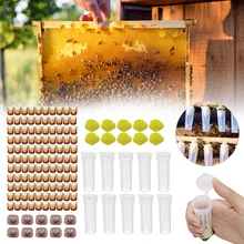 1 Set Beekeeping Rearing Cup Kit Plastic Queen Bee Cell Cups Roller Cages Boxes Apiculture Beekeeping Tools Supplies
1 Set Beekeeping Rearing Cup Kit Plastic Queen Bee Cell Cups Roller Cages Boxes Apiculture Beekeeping Tools Supplies
