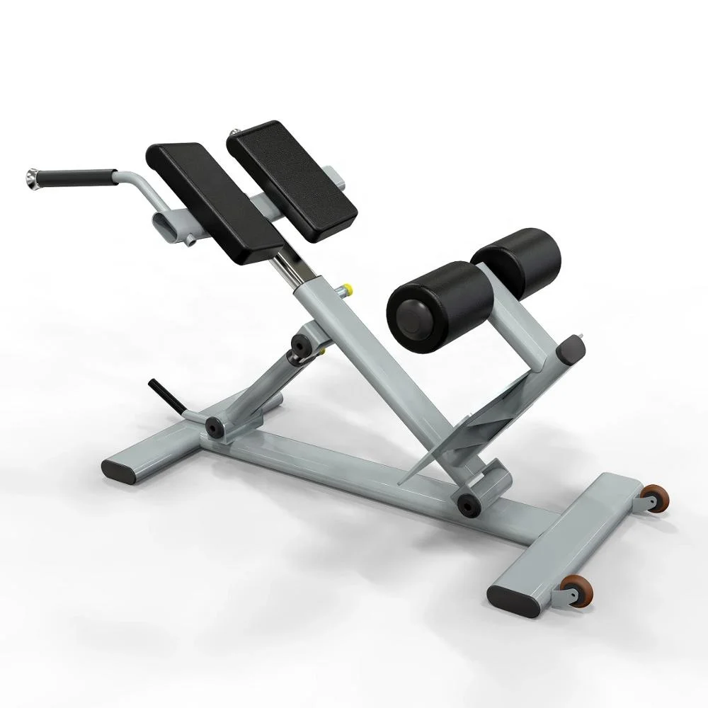 Shandong Lanbo High Quality Oval Tube Roman Chair Gym Equipment Abs Back Hyper Extension Exercise Bench Roman Chair
Shandong Lanbo High Quality Oval Tube Roman Chair Gym Equipment Abs Back Hyper Extension Exercise Bench Roman Chair