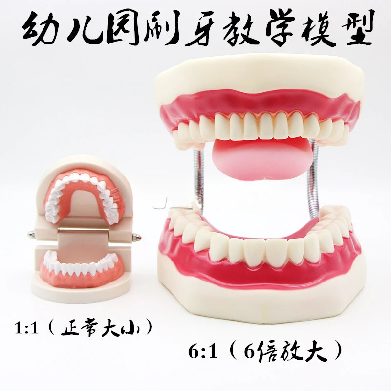 Tooth Model Kindergarten Early Education Tooth Brushing Mold Dental Children's Oral Education Tongue Tooth Mold Pendant
Tooth Model Kindergarten Early Education Tooth Brushing Mold Dental Children's Oral Education Tongue Tooth Mold Pendant