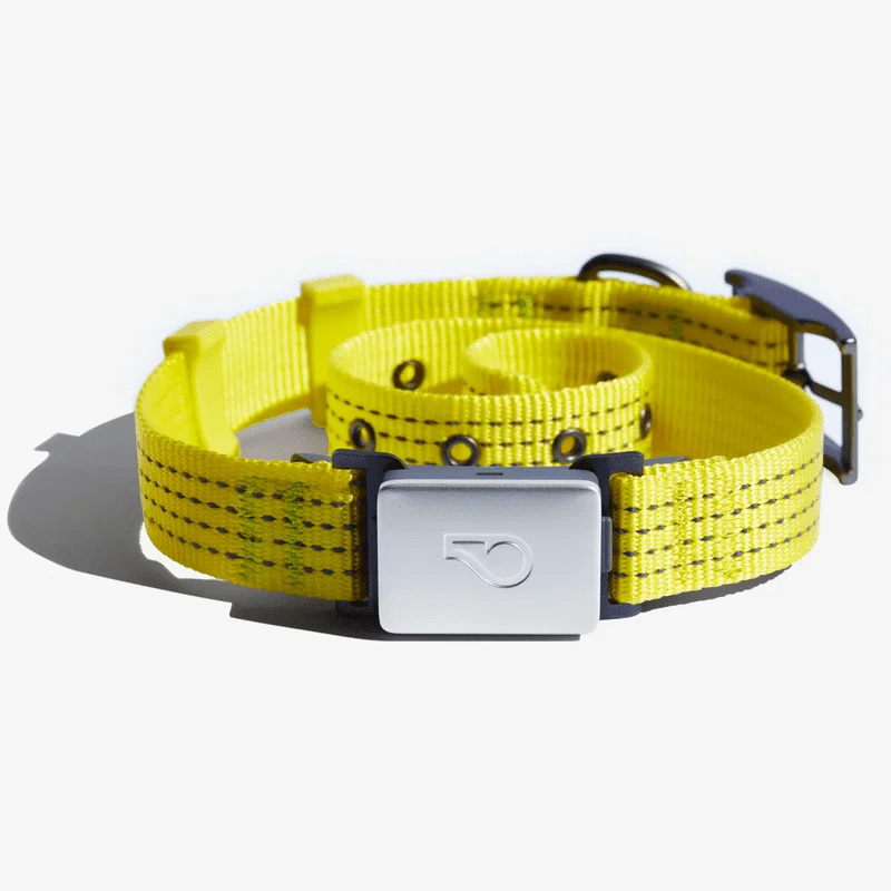 Smart Collar Kit - GPS location, Health & Fitness - Waterproof GPS Pet Tracker with interchangeable batteries, Athleisure (Yello
Smart Collar Kit - GPS location, Health & Fitness - Waterproof GPS Pet Tracker with interchangeable batteries, Athleisure (Yello