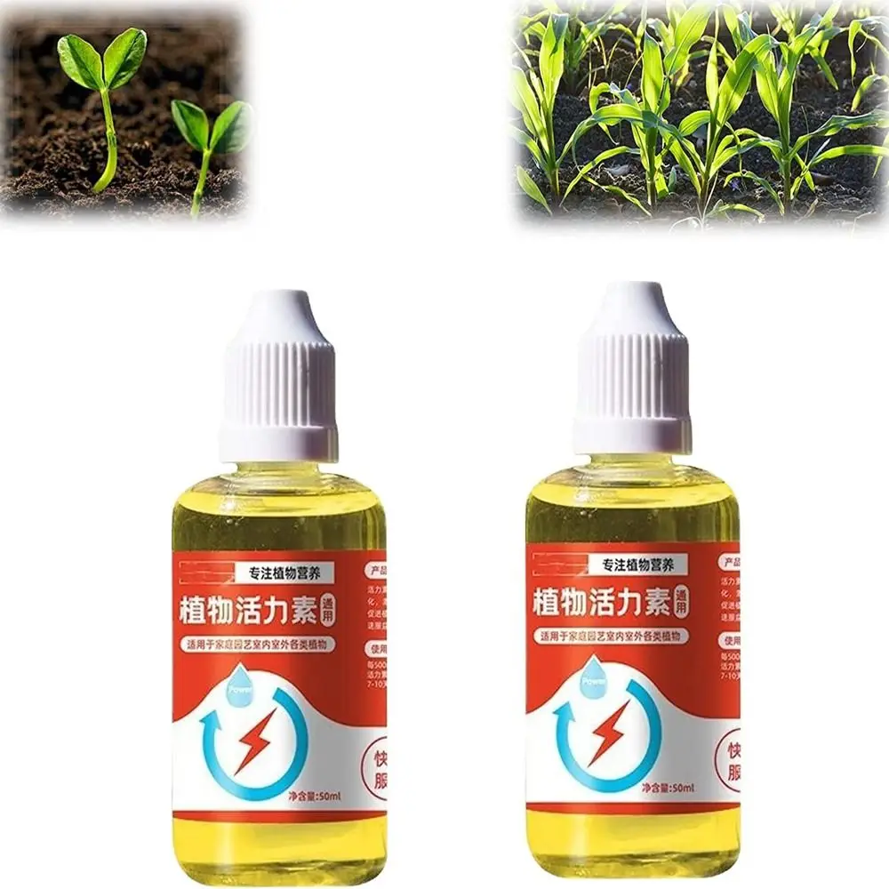 for Transplant Rescue Disease Seedlings Rooting Flowering Plant Auxin Nutrient Plant Growth Enhancer Supplement
for Transplant Rescue Disease Seedlings Rooting Flowering Plant Auxin Nutrient Plant Growth Enhancer Supplement