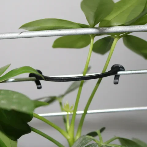 

Agricultural Plant Vines Tied Buckle Fixed Lashing Hook Greenhouse Garden Flower Plant Tie for Garden Tools 2000 Pcs