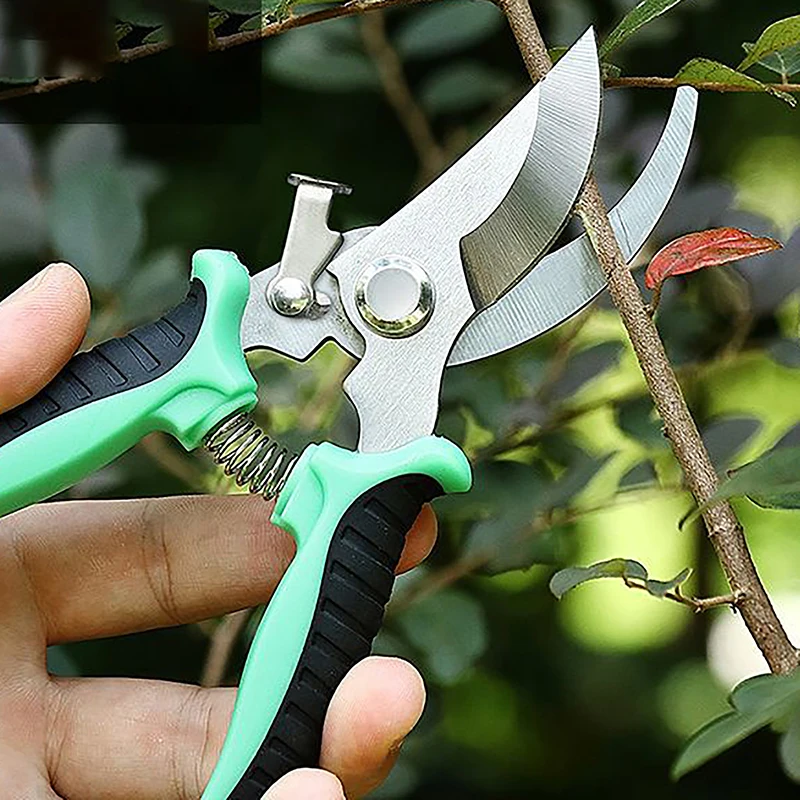 

1Pcs Pruner Garden Scissors Professional Sharp Bypass Pruning Shears Tree Trimmers Secateurs Hand Clippers Garden Beak Scissors