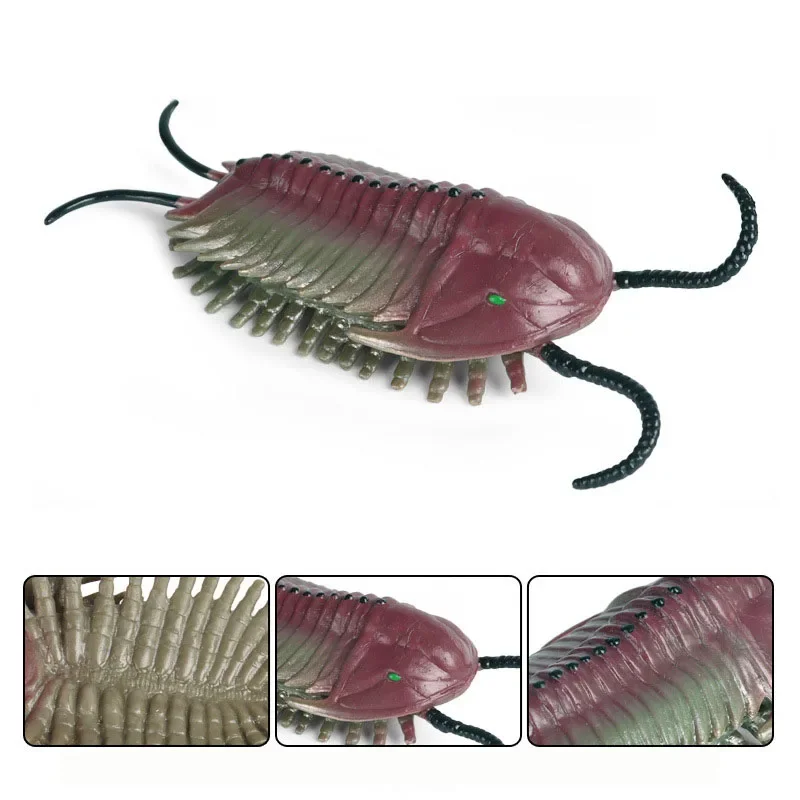 Educational Children's Cognitive Gift Solid Static Simulation Animal Toys Cambrian Trilobite Ancient Marine Animal Model
Educational Children's Cognitive Gift Solid Static Simulation Animal Toys Cambrian Trilobite Ancient Marine Animal Model