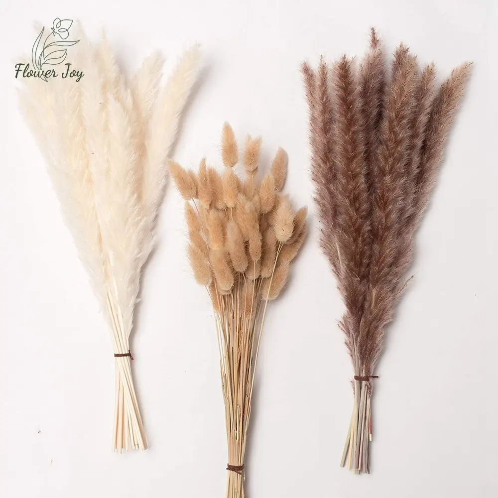 Dried Flowers Nature Pampas Grass Decoration Fluffy Rabbit Tail Grass Wheat Dining Table Decoration Accessories Wedding Decor
Dried Flowers Nature Pampas Grass Decoration Fluffy Rabbit Tail Grass Wheat Dining Table Decoration Accessories Wedding Decor