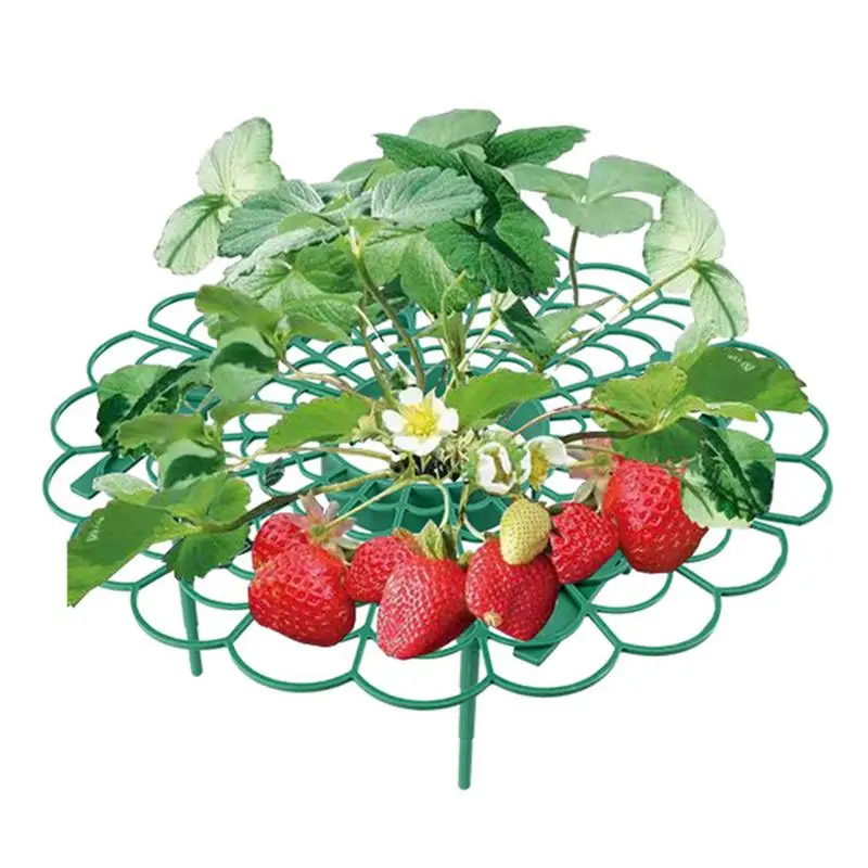

Strawberry Plant Support 3pcs Watermelon Support Melon Cradle Holder Pumpkin Growing Supports With 4 Sturdy Legs For Cantaloupe