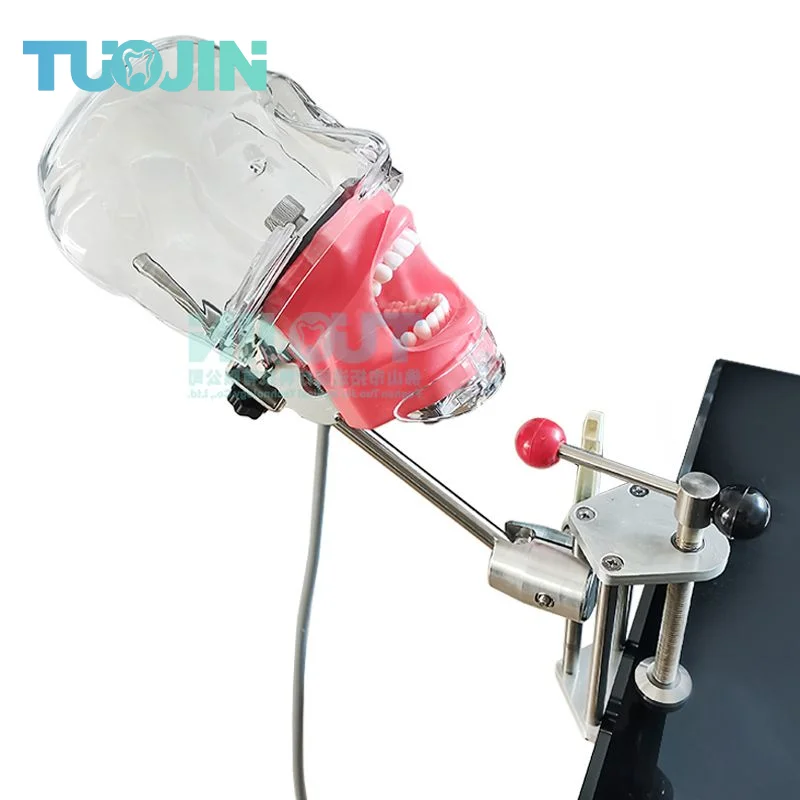 Dental Simulator Simple Manikin Phantom 360-degree Adjustment With New Style Bench Mount Dental Head Model Dentist Teaching Tool
Dental Simulator Simple Manikin Phantom 360-degree Adjustment With New Style Bench Mount Dental Head Model Dentist Teaching Tool