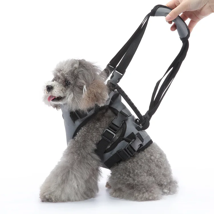 

Multi Functional Dog Leash, Dog Chest Strap Traction Rope for Walking Assistance Traction Belt