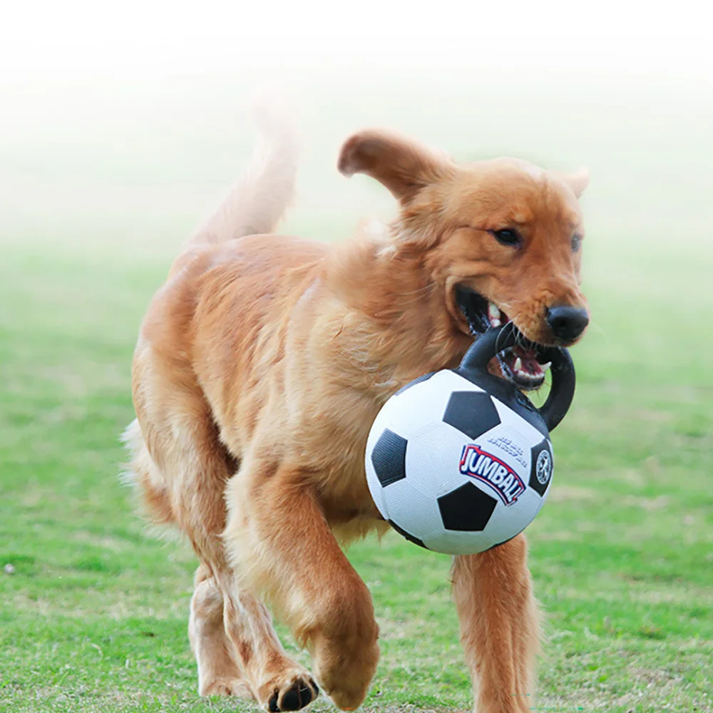 Dog Toys Football Interactive Training Elastic Ball Pet Inflatable Soccer Ball Bite-resistant Rubber Handle Pet Bouncing Ball
Dog Toys Football Interactive Training Elastic Ball Pet Inflatable Soccer Ball Bite-resistant Rubber Handle Pet Bouncing Ball