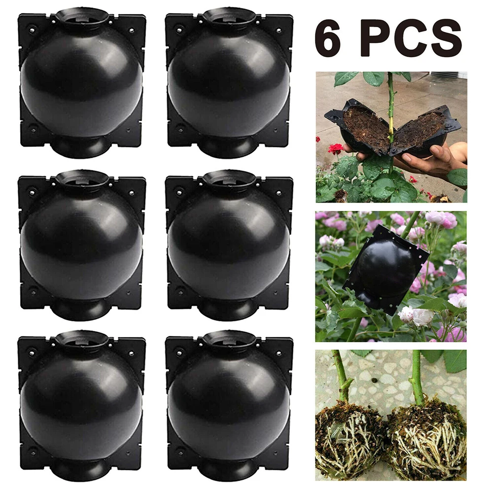 6PC Reusable Plant Rooting Ball Plant Propagation Agent Garden Sapling Cutting Box HighPressure Graft Breeding Nursery Equipment
6PC Reusable Plant Rooting Ball Plant Propagation Agent Garden Sapling Cutting Box HighPressure Graft Breeding Nursery Equipment