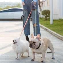 3M Headed Pet Leashes Automatic Retractable Dogs Traction Rope Creative Double Dog Walking Leash Chain Pets Supplies
3M Headed Pet Leashes Automatic Retractable Dogs Traction Rope Creative Double Dog Walking Leash Chain Pets Supplies