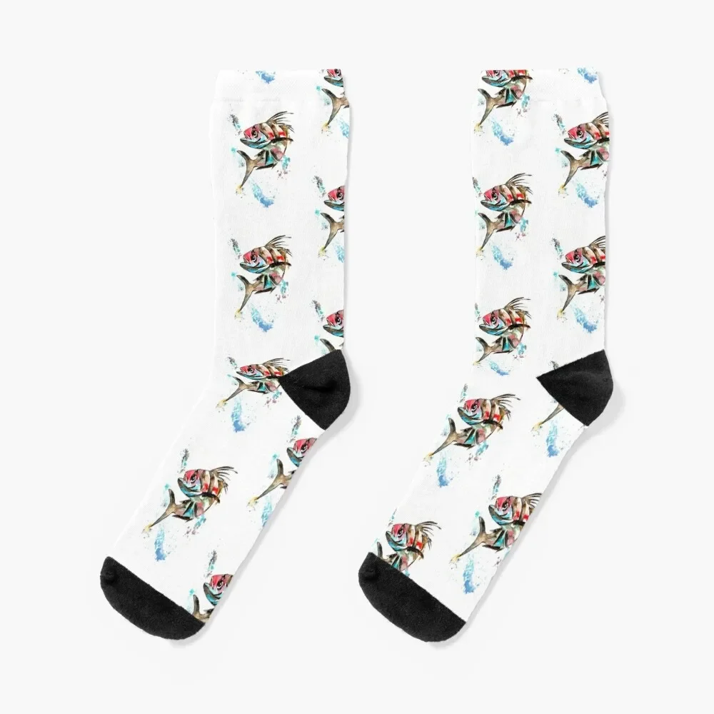 Roosterfish Socks man designer brand Boy Socks Women's 
Roosterfish Socks man designer brand Boy Socks Women's