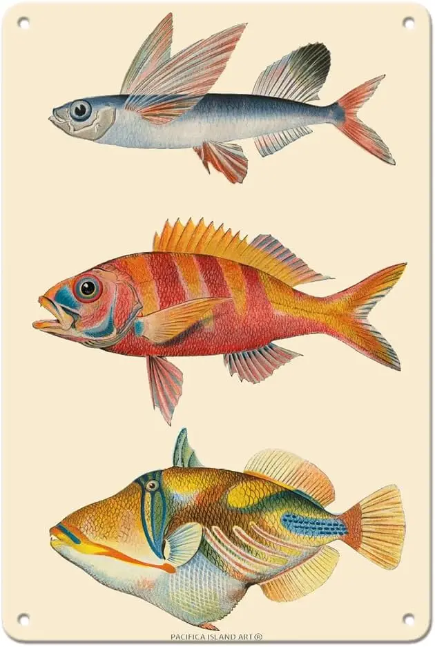 Триптих для гавайской рыбы, риф Триптих (Malolo) Ruby Snapper Onaga (ulзала), риф Триптих (Humuhumu) - V
Триптих для гавайской рыбы, риф Триптих (Malolo) Ruby Snapper Onaga (ulзала), риф Триптих (Humuhumu) - V