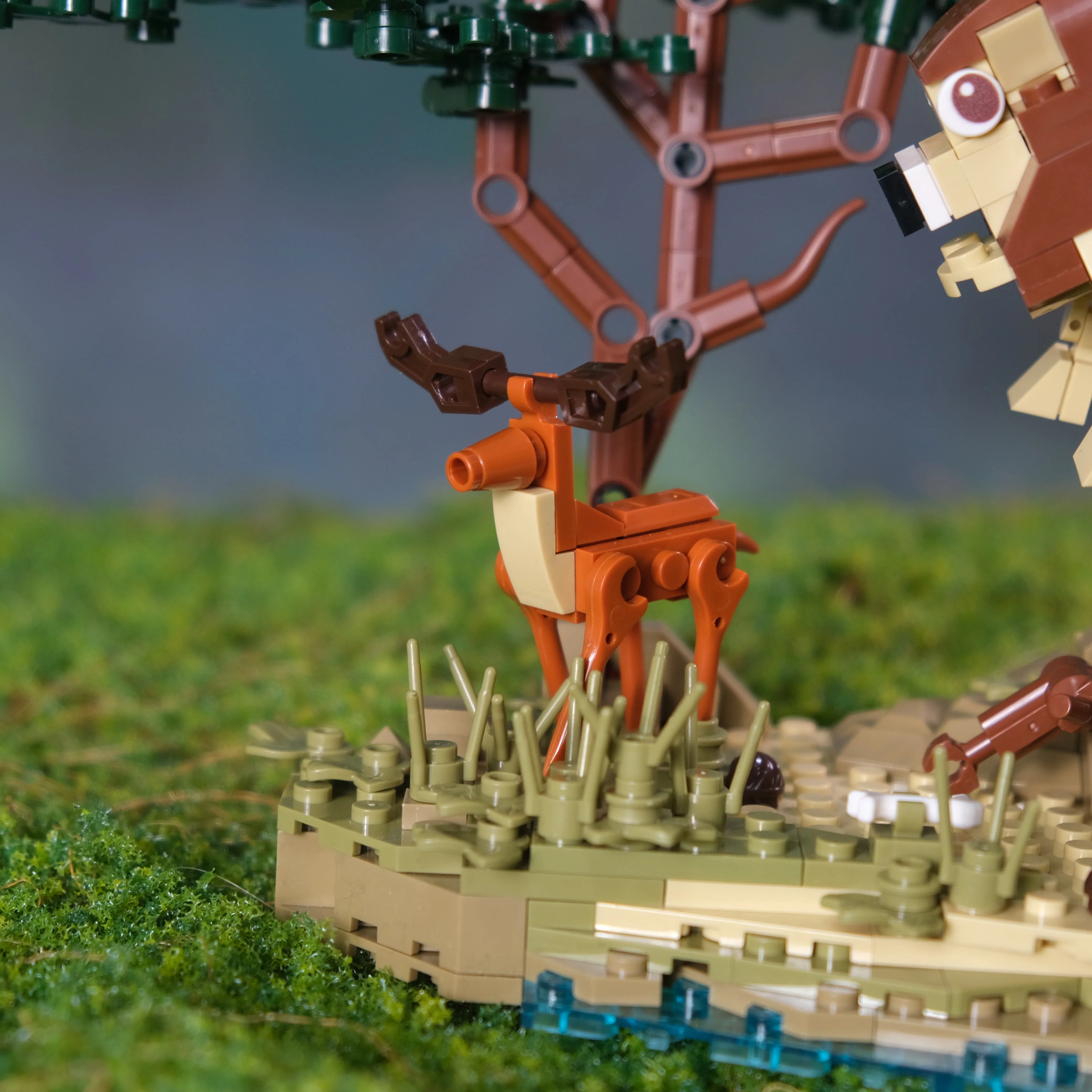 755PCS Creative Tropical Forest Building Blocks Cute Animal Lion Zoo Model Bricks Assemble Toys Birthday Gift for Adults Kids 755PCS Creative Tropical Forest Building Blocks Cute Animal Lion Zoo Model Bricks Assemble Toys Birthday Gift for Adults Kids