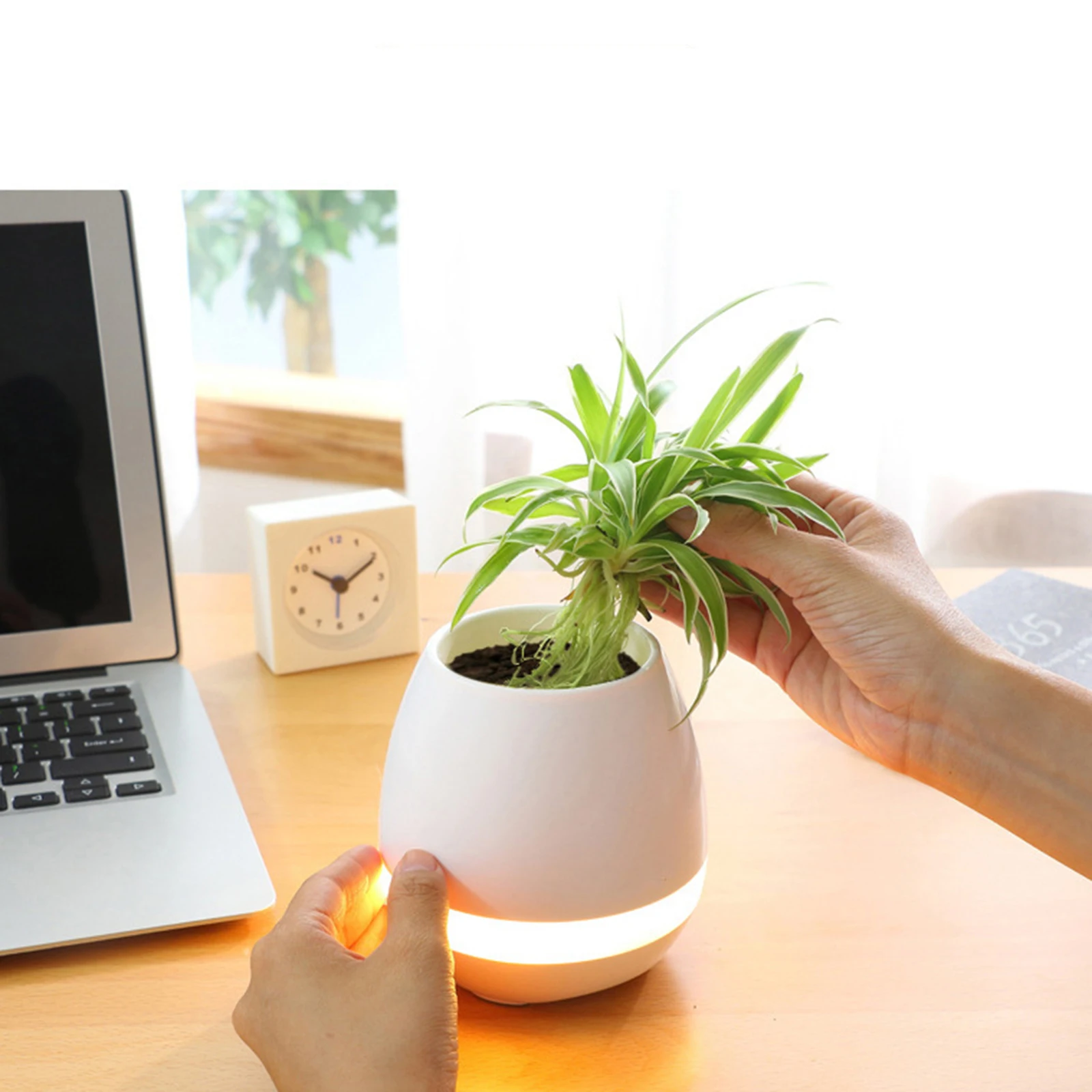 Bluetooth Speaker Music Planter, Portable Music Planter, Intelligent Plant Pot, Touch Plant Music Pot, Home Decoration
Bluetooth Speaker Music Planter, Portable Music Planter, Intelligent Plant Pot, Touch Plant Music Pot, Home Decoration