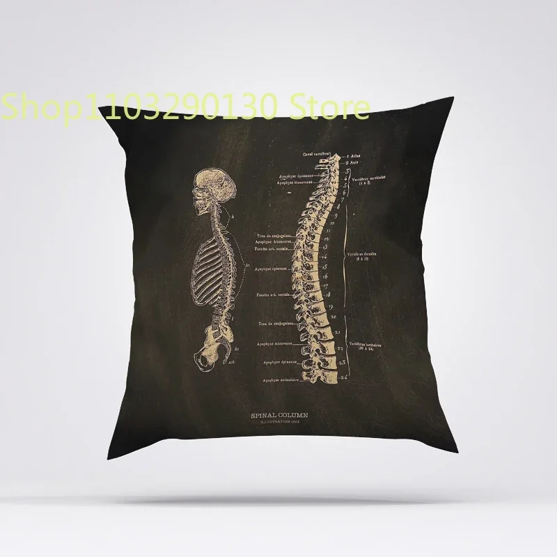 Body Pillow Cover 40x40 Anatomical Skeleton Decorative Pillows Cushions Home Decor Pillowcases Pilow Cases Cushion Covers
Body Pillow Cover 40x40 Anatomical Skeleton Decorative Pillows Cushions Home Decor Pillowcases Pilow Cases Cushion Covers