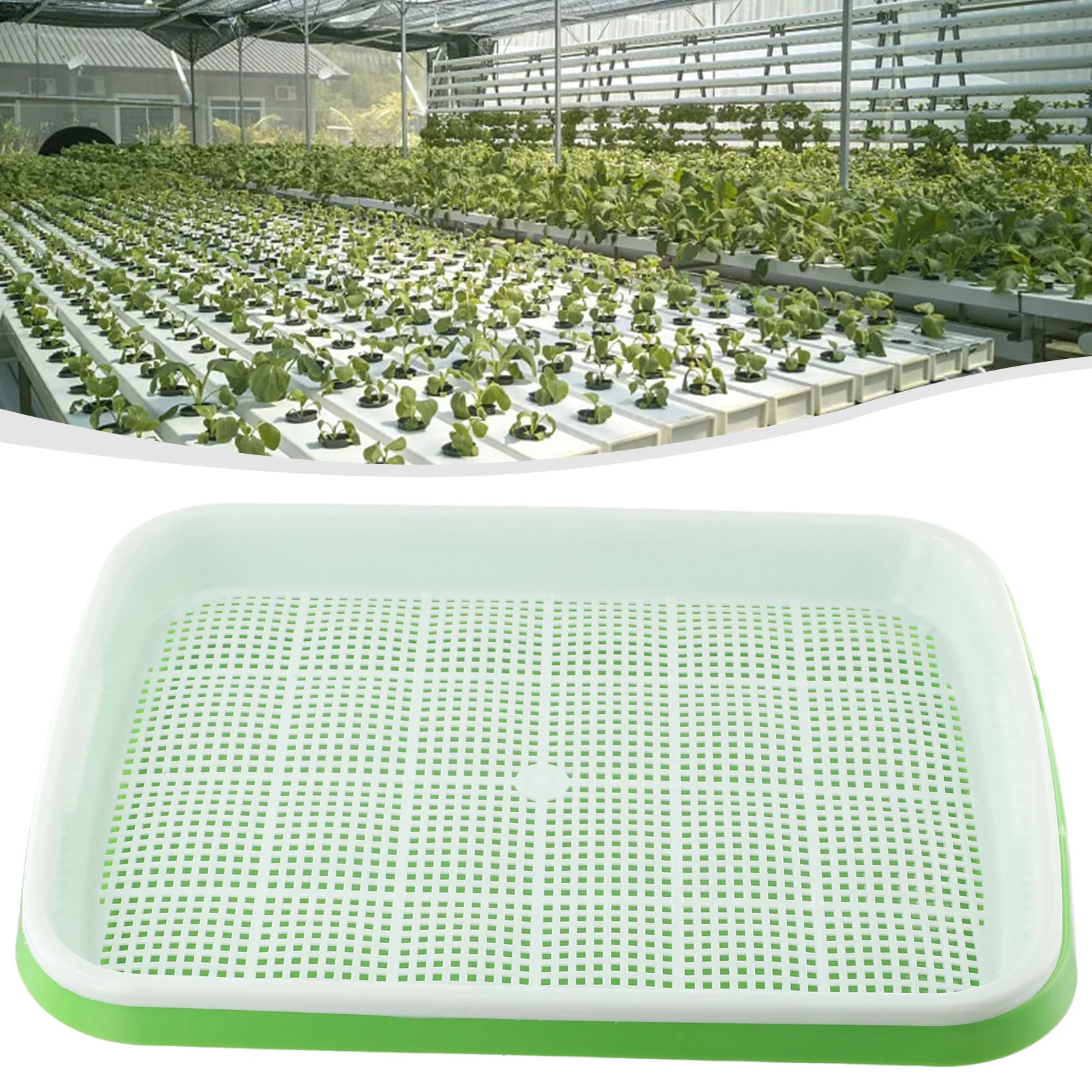 Hydroponic Sprouting Tray for Microgreens, 2 Layers, Green and White Mesh, Ideal for Sprouts, Durable and , 33cm x 26cm x 5cm
Hydroponic Sprouting Tray for Microgreens, 2 Layers, Green and White Mesh, Ideal for Sprouts, Durable and , 33cm x 26cm x 5cm