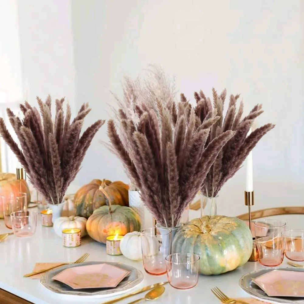 Dry Flowers Natural Dried Flower Dekoration Boho Home Decor Pampas Grass Bohemian Wedding Deco Reed Pampa Bouquet Decoration
Dry Flowers Natural Dried Flower Dekoration Boho Home Decor Pampas Grass Bohemian Wedding Deco Reed Pampa Bouquet Decoration