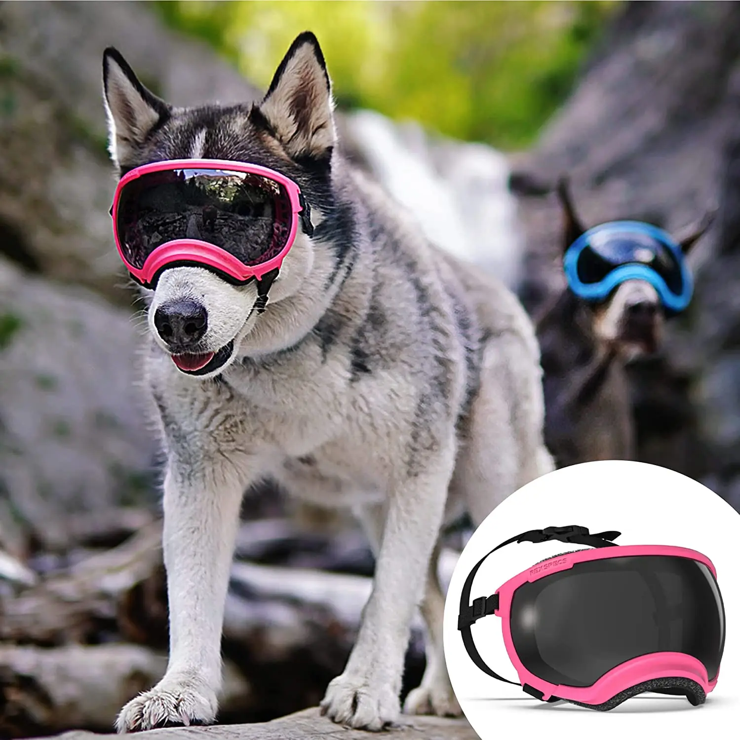Anti UV Strong Impact Resistance Dog Goggles Adjustable Elastic Puppy Large Breed Dog Goggles Breathable Pet Sunglasses for Dogs
Anti UV Strong Impact Resistance Dog Goggles Adjustable Elastic Puppy Large Breed Dog Goggles Breathable Pet Sunglasses for Dogs