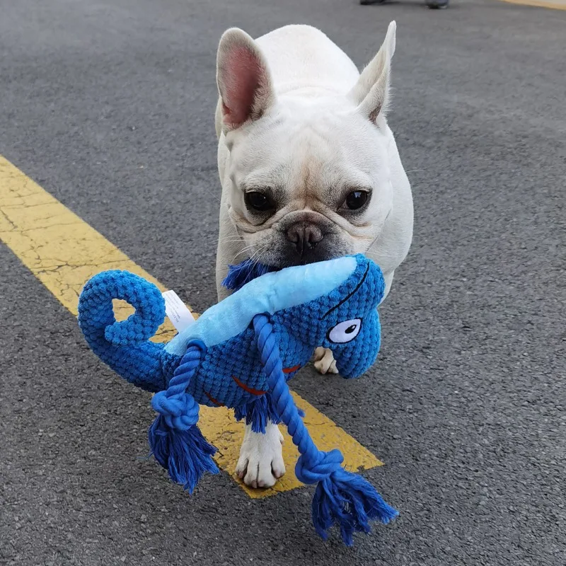 Large Dog Toys Animal Shape Plush Pet Puppy Squeaky Toy Pet Chew Bite Resistant Teeth Grinding Toy Pet Supplies
Large Dog Toys Animal Shape Plush Pet Puppy Squeaky Toy Pet Chew Bite Resistant Teeth Grinding Toy Pet Supplies
