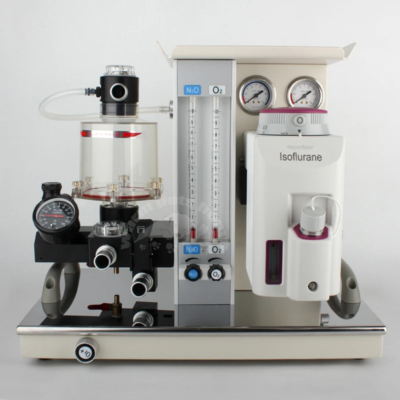 Veterinary Anesthesia Machine with N2O and O2 for Dog Cat Animals Portable Respiratory Anesthesia Equipment
Veterinary Anesthesia Machine with N2O and O2 for Dog Cat Animals Portable Respiratory Anesthesia Equipment