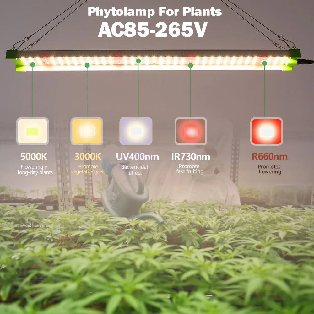 Phyto Lamp For Plants IR UV AC85-265V 85W Led Grow Light For Hydroponics Growing System Seeds Indoor Flowers Greenhouse Box
Phyto Lamp For Plants IR UV AC85-265V 85W Led Grow Light For Hydroponics Growing System Seeds Indoor Flowers Greenhouse Box