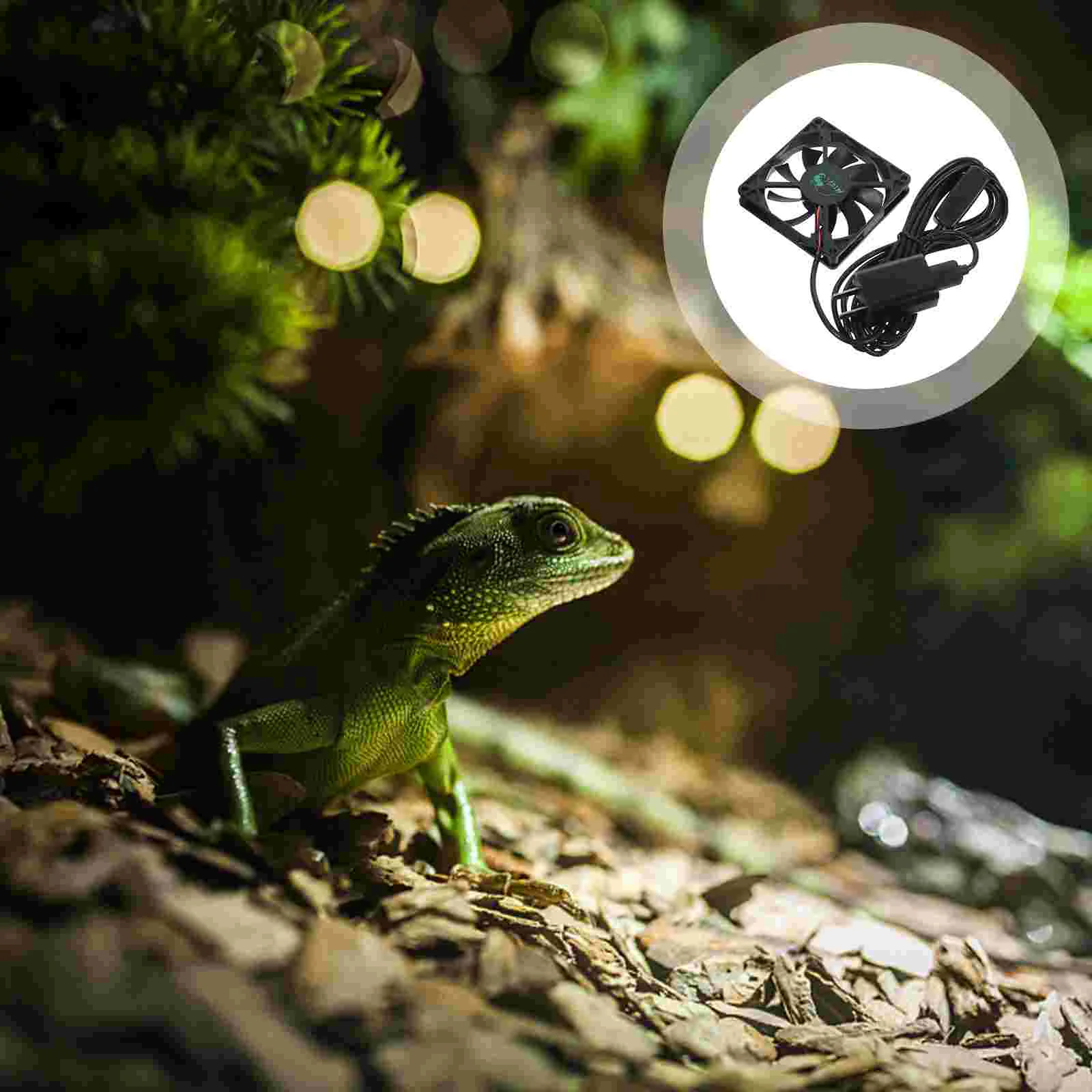 USB Ecological Rainforest Landscape Tank Exhaust Fan Adjustable Timing Exhaust Fan Black (Can Connected Timer) 
USB Ecological Rainforest Landscape Tank Exhaust Fan Adjustable Timing Exhaust Fan Black (Can Connected Timer)