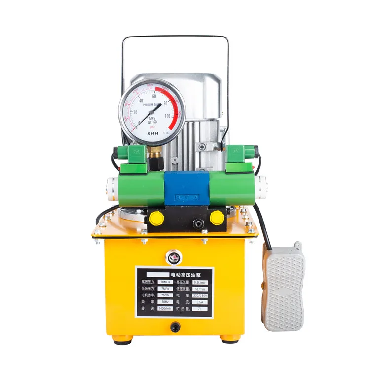 Manufacturer Db075-D2 750W Small Electric Oil Pump High Pressure Double Acting Electric Hydraulic Pump
Manufacturer Db075-D2 750W Small Electric Oil Pump High Pressure Double Acting Electric Hydraulic Pump