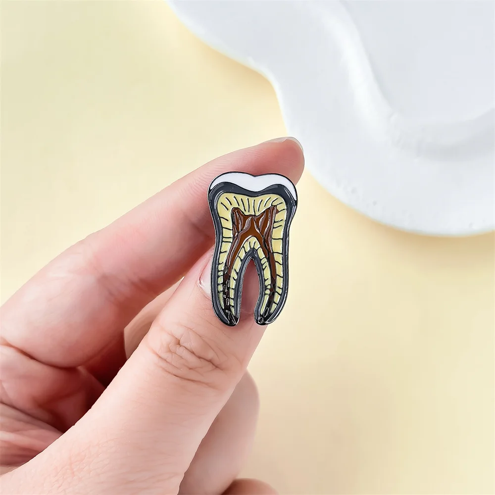 Tooth Structure Anatomy Enamel Pin Medical Brooch for Dentist Nurse Friends Lapel Badge Gift Jewelry
Tooth Structure Anatomy Enamel Pin Medical Brooch for Dentist Nurse Friends Lapel Badge Gift Jewelry