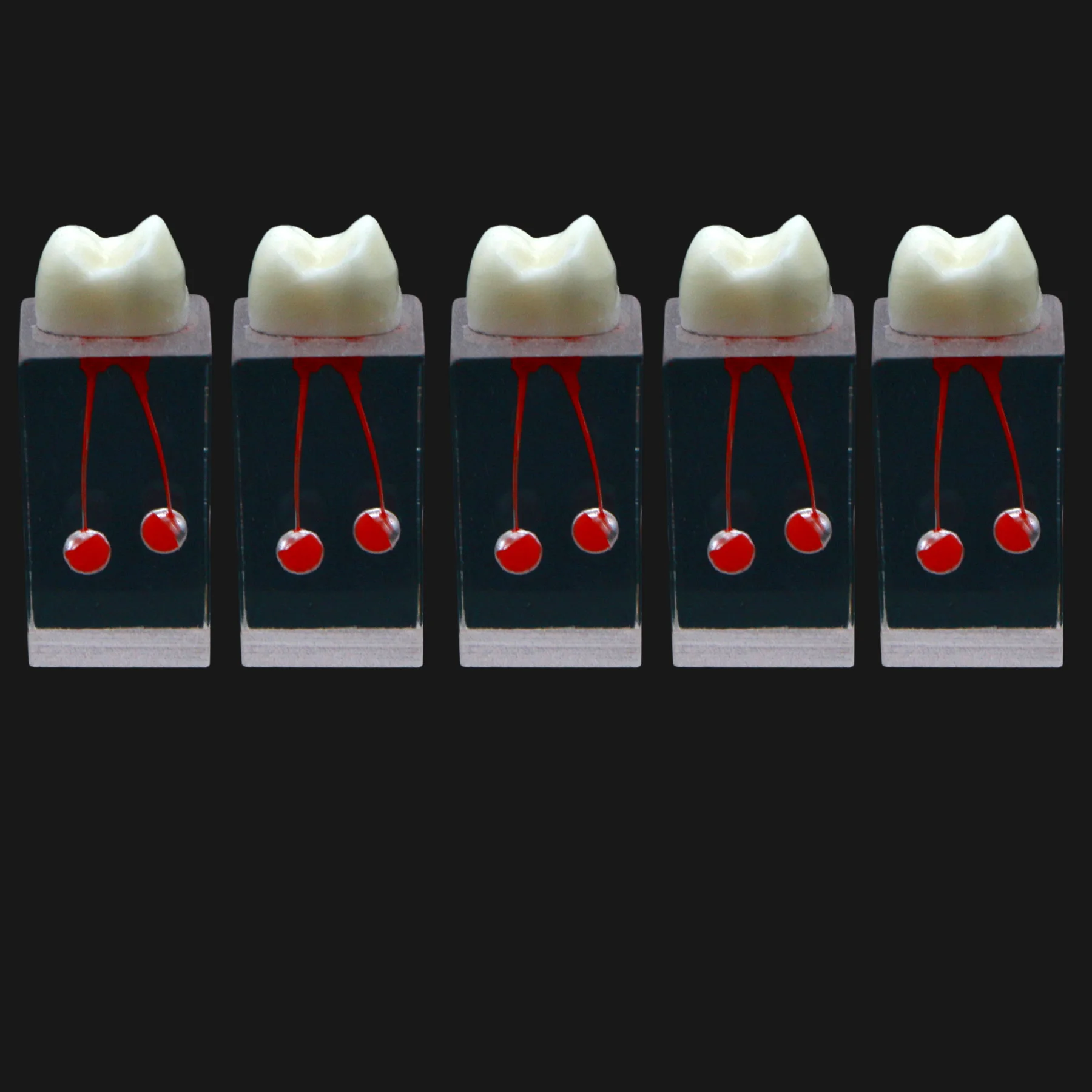 5Pcs Dental Root Canal Model Block Practice Pulp Cavity Resin Endo Training Front Tooth RCT Teaching Exercise
5Pcs Dental Root Canal Model Block Practice Pulp Cavity Resin Endo Training Front Tooth RCT Teaching Exercise