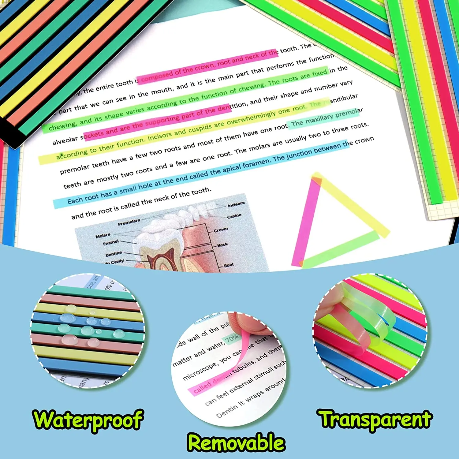 160/320 Pcs Color Stickers Transparent Fluorescent Index Tabs Flags Sticky Note Stationery Children Gifts School Office Supplies
160/320 Pcs Color Stickers Transparent Fluorescent Index Tabs Flags Sticky Note Stationery Children Gifts School Office Supplies