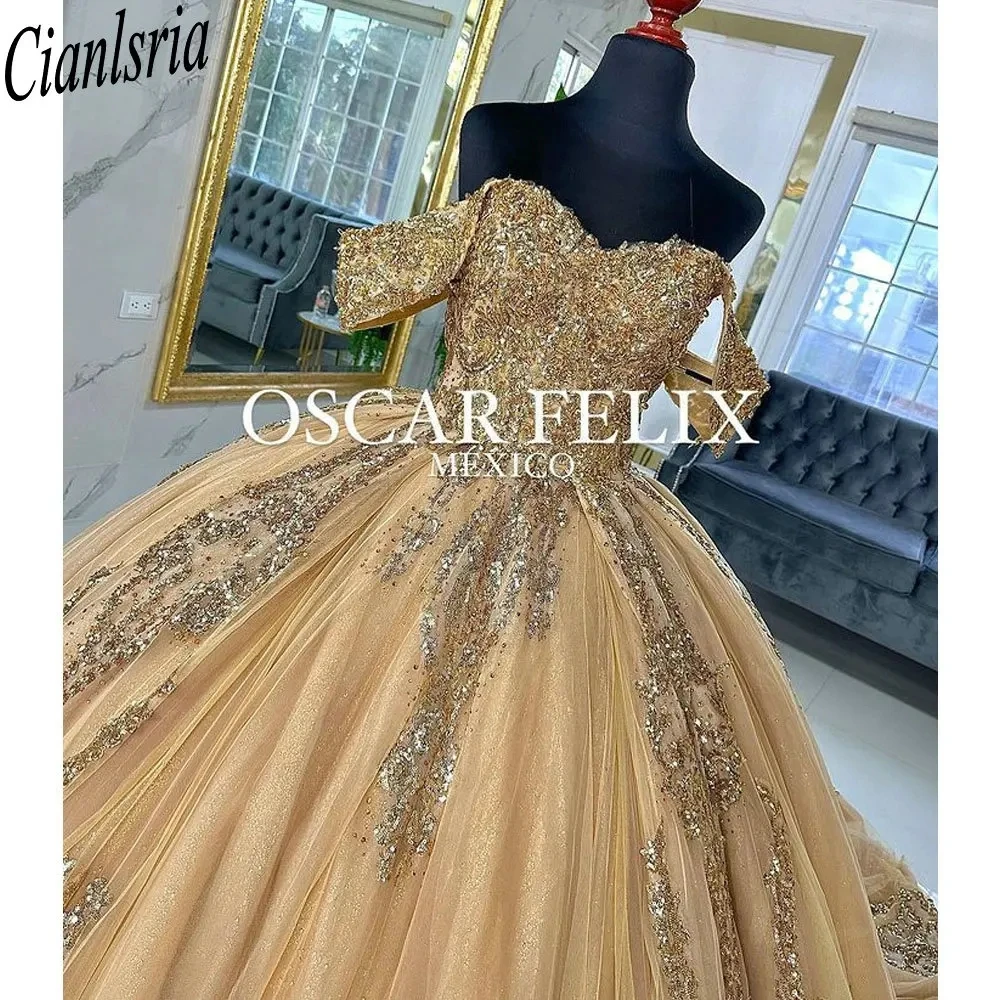 Gold Off The Shoulder Beading Ball Gown Quinceanera Dresses Sequined Appliques Lace Corset Vestidos De 15 Años
Gold Off The Shoulder Beading Ball Gown Quinceanera Dresses Sequined Appliques Lace Corset Vestidos De 15 Años