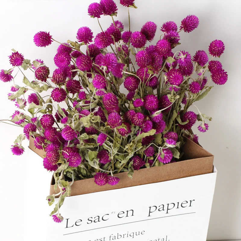 10 Pcs Natural Dried Flower Thousand Days Red Bouquet Ins Decoration Wall Wedding Farmhouse Living Room Table Top Ornament
10 Pcs Natural Dried Flower Thousand Days Red Bouquet Ins Decoration Wall Wedding Farmhouse Living Room Table Top Ornament