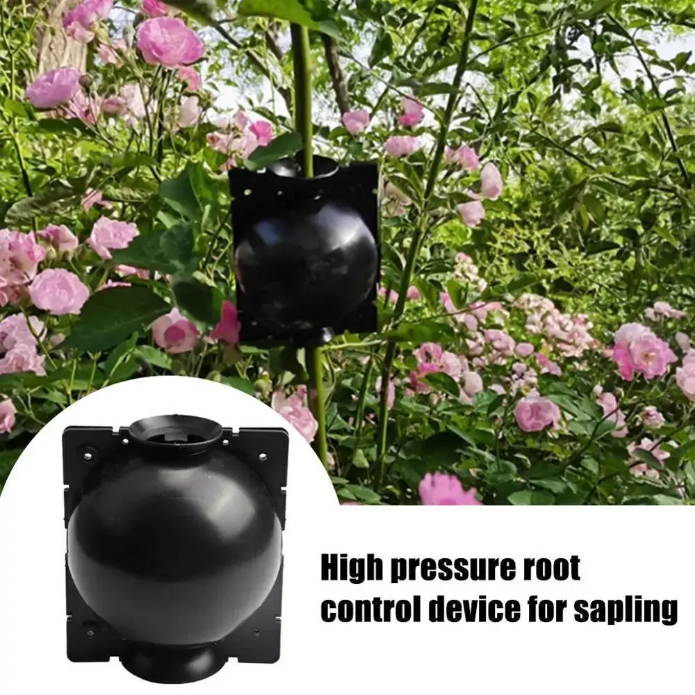 

5/8cm In Diameter Plant Root Growing Box Breeding Case 5pcs Plant Rooting Ball Grafting Rooting Growing Box For Garden