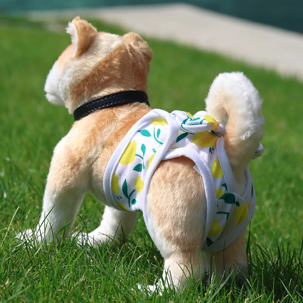 Pet Physiological Pants Dog Menstrual Pants Cute Pet Princess Panties Pet Diaper Dog Breathable Bow Dog Clothes Elasticity Pants Pet Physiological Pants Dog Menstrual Pants Cute Pet Princess Panties Pet Diaper Dog Breathable Bow Dog Clothes Elasticity Pants