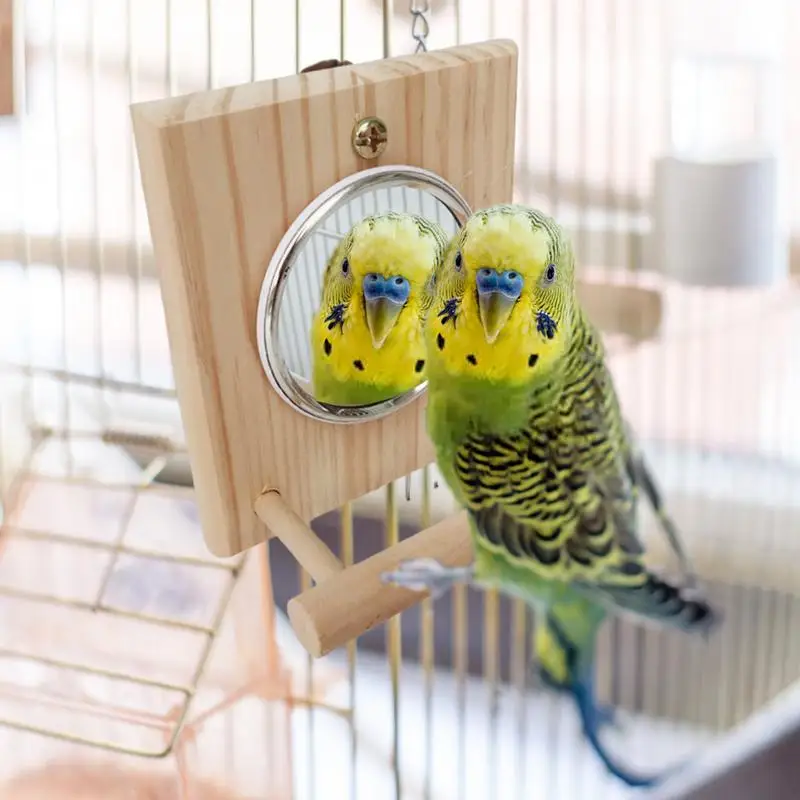 

Pet Bird Mirror With Standing Bar Parrot Bird Cage Mirror Toy Easy To Install Funny And Cute Wooden Pet Play Set Birds Supplies