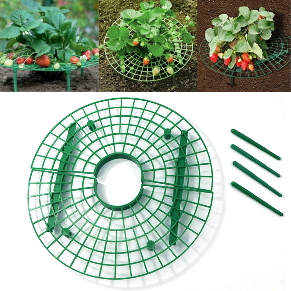 

10 шт./упаковка, пластиковые стеллажи для выращивания клубники