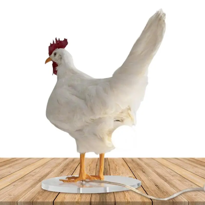 

Resin Chicken Egg Lamp Light Rooster Table Lamp Chicken Lamp With Egg In Butt Easter Hen Laying Lights 3D Decorative Egg Lamp