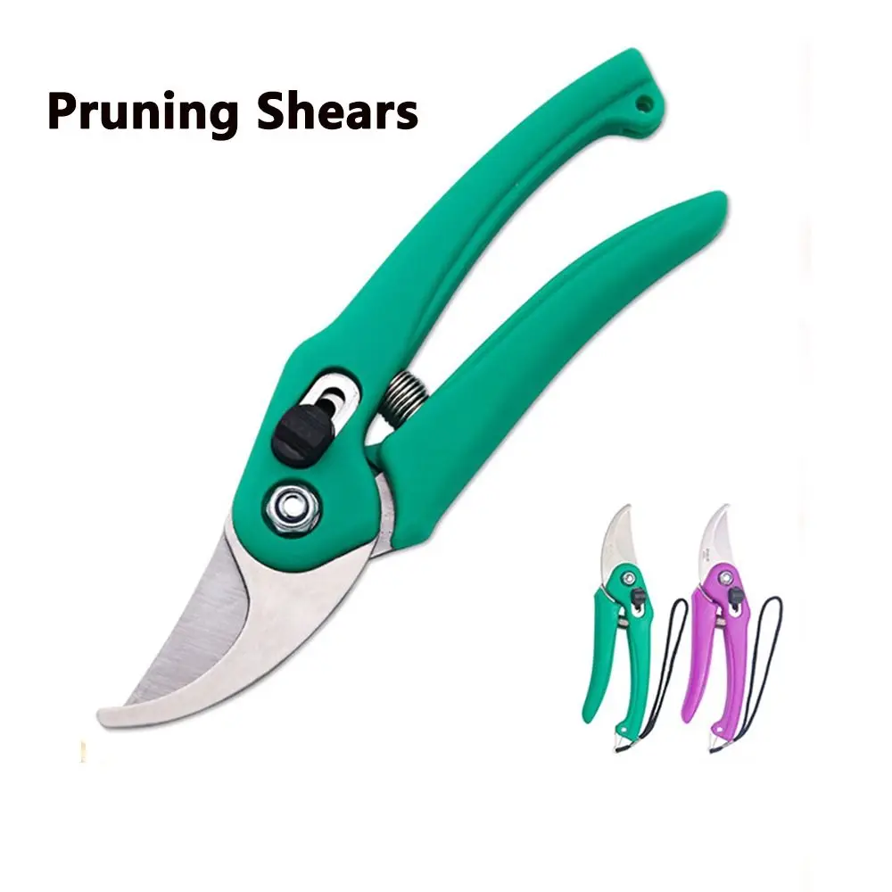 Pruner Garden Scissors Professional Sharp Bypass Pruning Shears Tree Trimmers Flower Branch Hand Clippers Garden Tools
Pruner Garden Scissors Professional Sharp Bypass Pruning Shears Tree Trimmers Flower Branch Hand Clippers Garden Tools