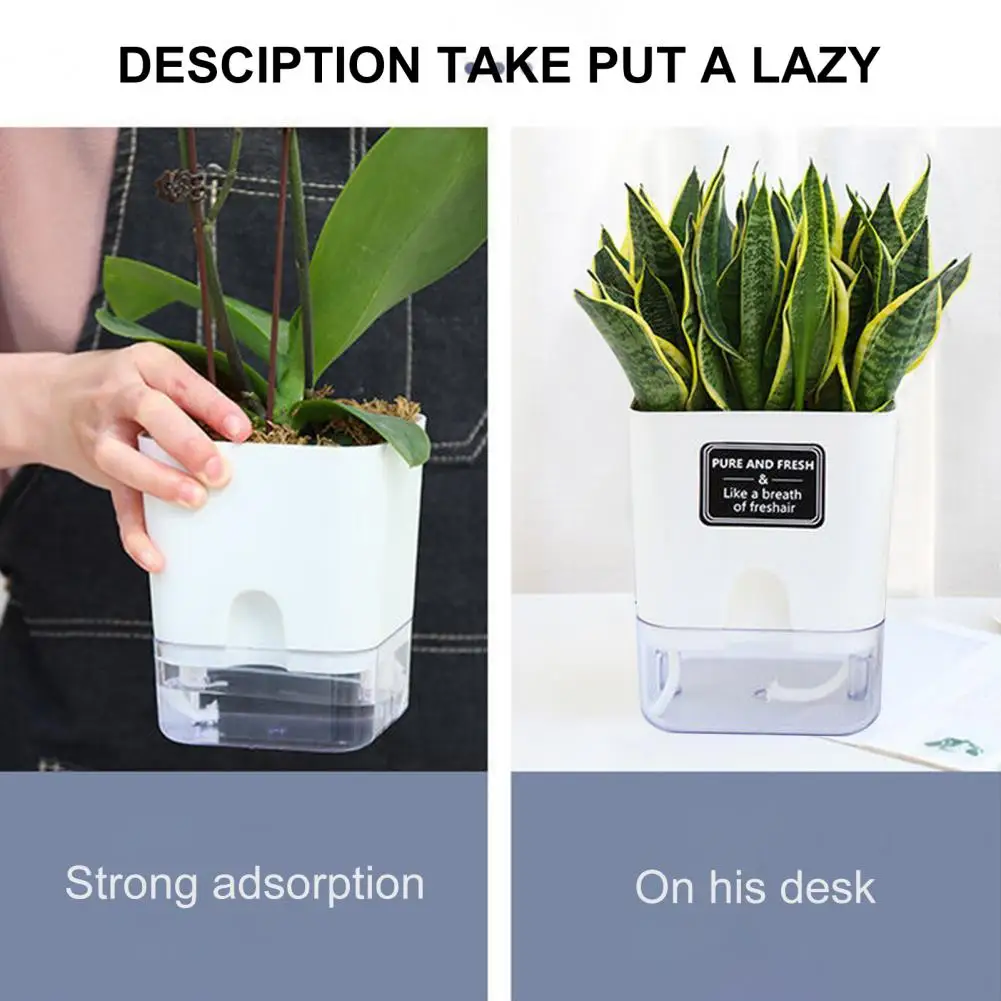 Plant Pot Simple Easy to Clean Detachable Flower Growing Planter Pot Home Supply Planting Container Growing Plant Pot
Plant Pot Simple Easy to Clean Detachable Flower Growing Planter Pot Home Supply Planting Container Growing Plant Pot