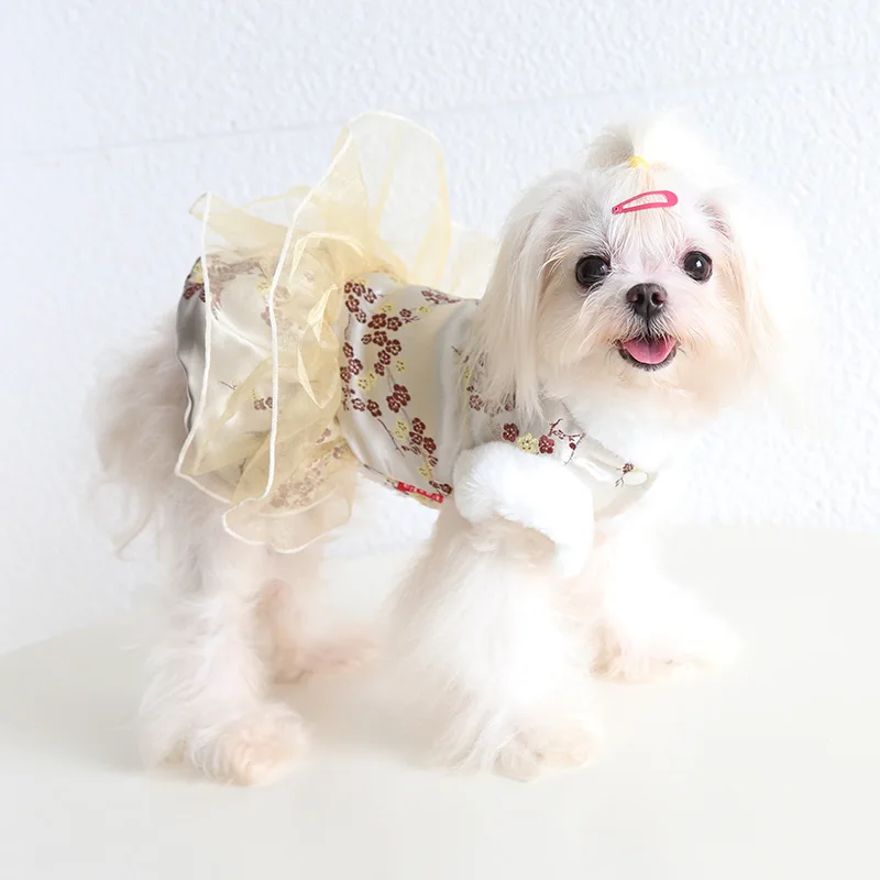 Money Bag Rabbit Chinese Tang Suit Cotton Skirt 22 Autumn and Winter Cat Clothes Pet Clothes Dog Clothes
Money Bag Rabbit Chinese Tang Suit Cotton Skirt 22 Autumn and Winter Cat Clothes Pet Clothes Dog Clothes