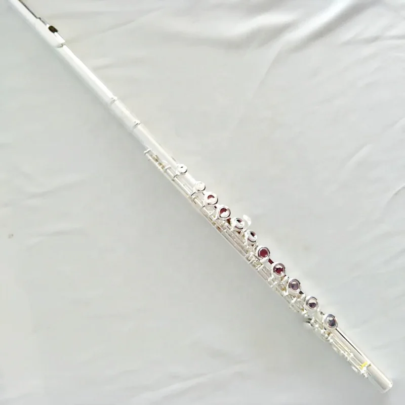 

Hot Sell High Quality Flute with 16 Hole/17 - Hole Closed and Silver Plated To Play Instruments