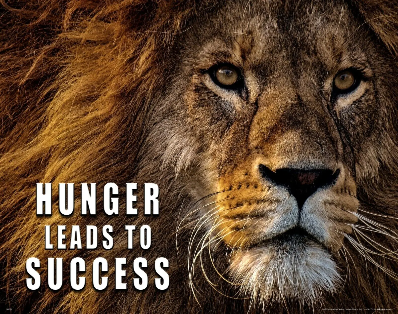 Lion Motivational Art Canvas Poster for Living Room Decoration Home Wall Decor Decorative Picture
Lion Motivational Art Canvas Poster for Living Room Decoration Home Wall Decor Decorative Picture