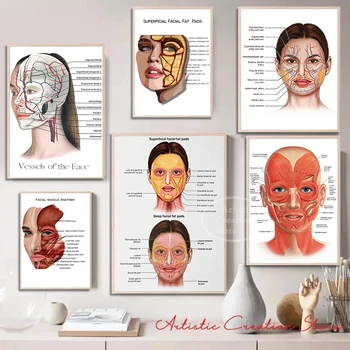 얼굴 해부학 근육 정맥 상세한 차트 과학 예술 인쇄 캔버스 포스터, 의료 클리닉 교육 벽 예술, 홈 데코
